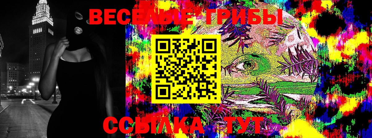 купить наркоту  Псилоцибиновые грибы мицелий  Вход с VPN  Строитель  Псилоцибиновые грибы Cubensis 