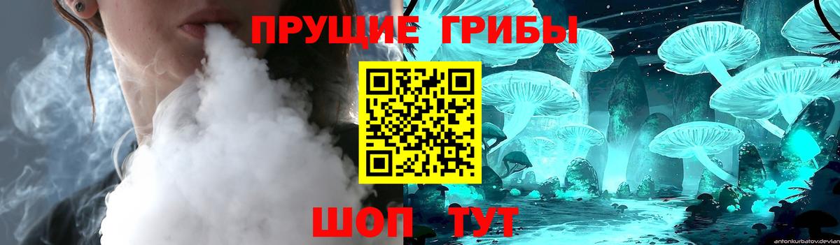 Галлюциногенные грибы Psilocybe Строитель